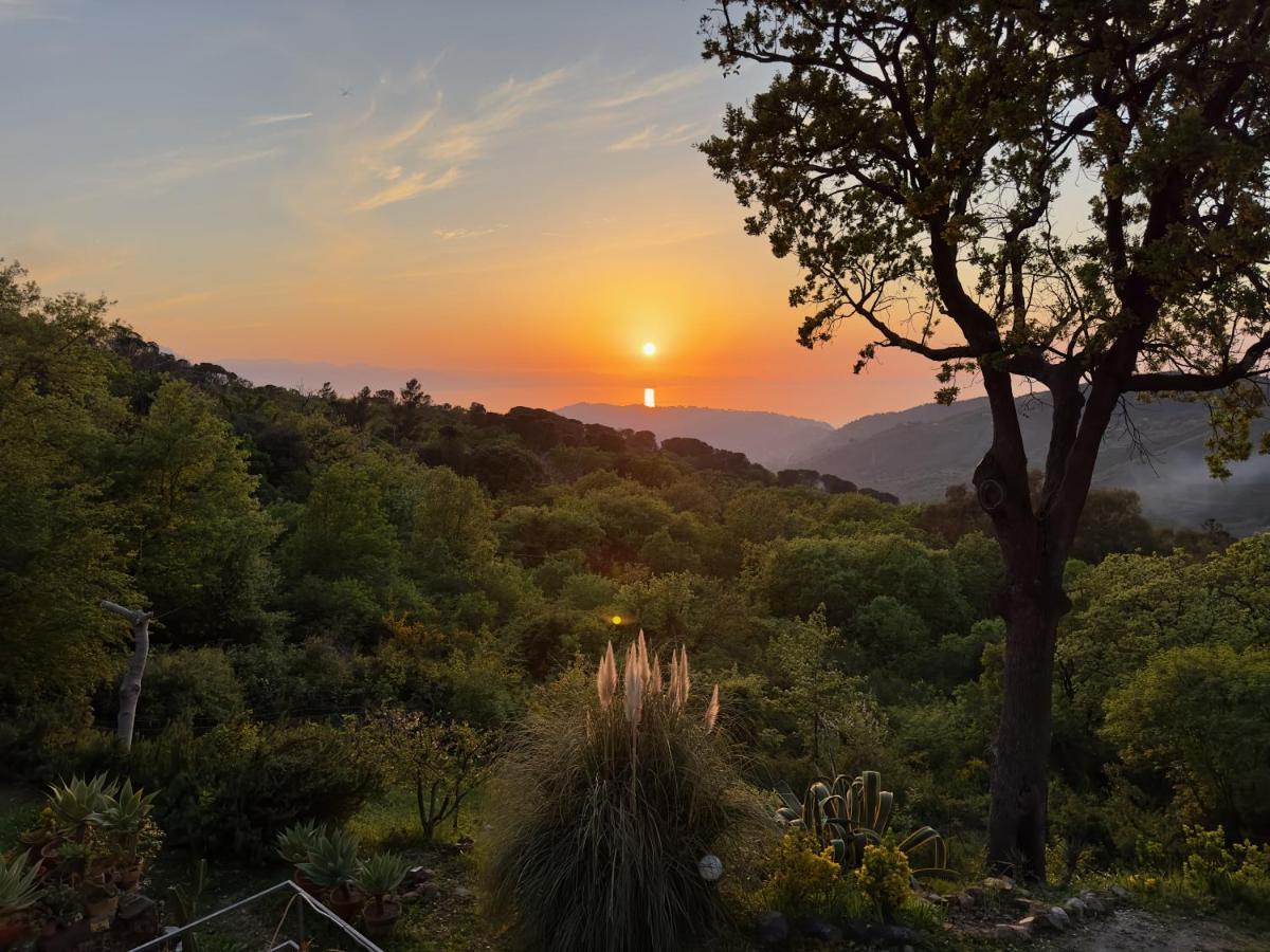 Cefalu Forest Hideout Kültér fotó