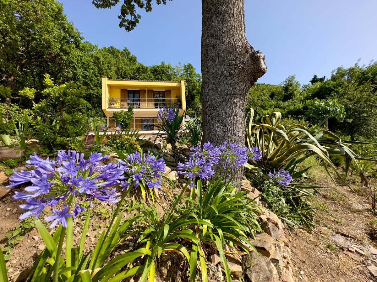 Cefalu Forest Hideout Kültér fotó