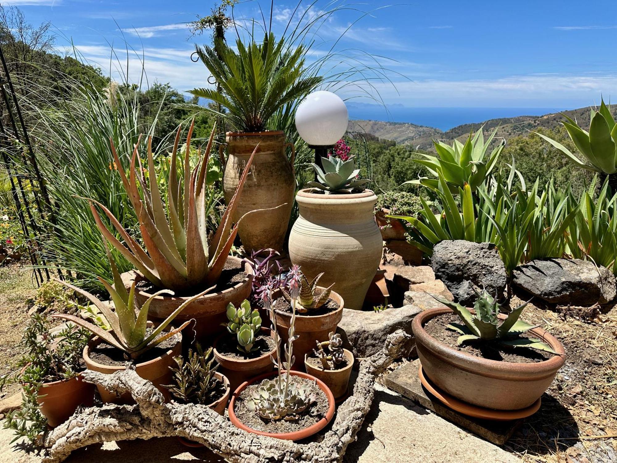 Cefalu Forest Hideout Kültér fotó
